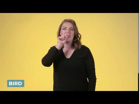How to sign Bird in ASL