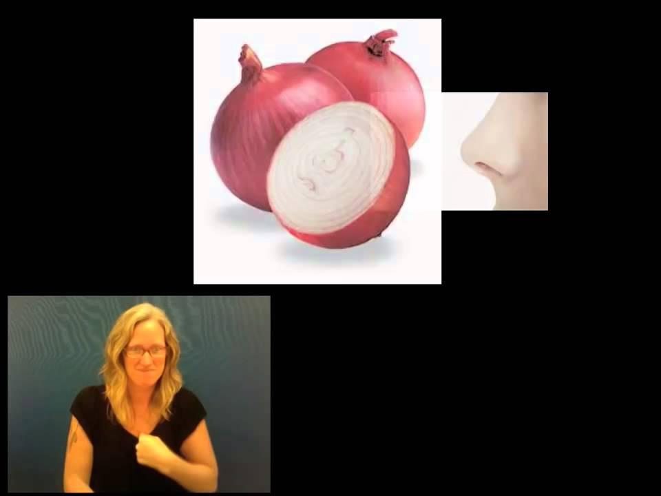 How to Sign Salad Lettuce in Auslan