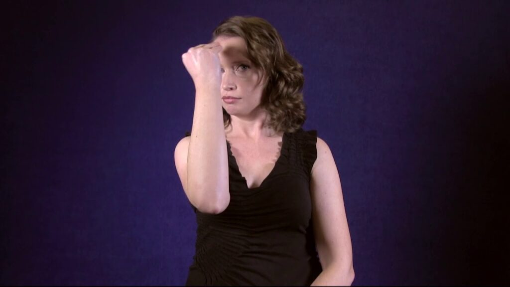 Baseball Cap in Sign Language (ASL) - Deafened Organization