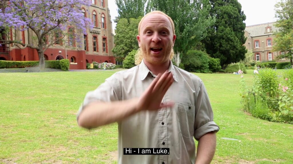 How to Sign Vault in Auslan