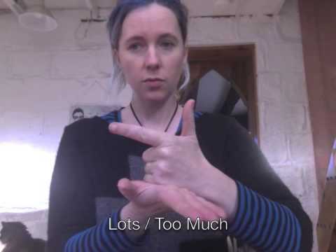 How to Sign Quite a Little in Auslan