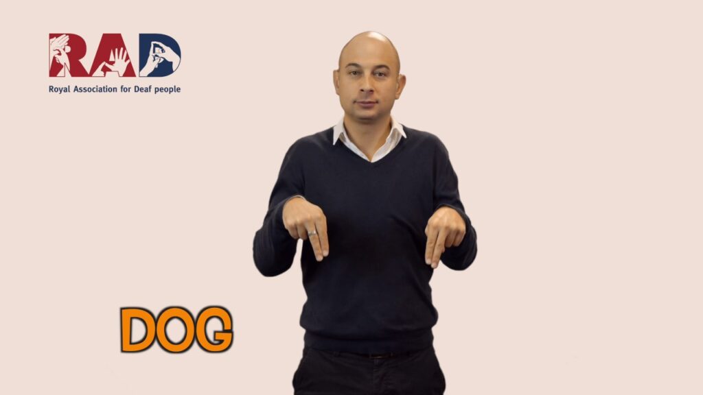 How to Sign Dog in BSL