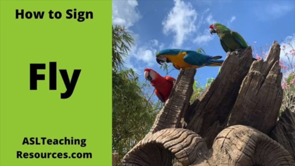 How to sign Fly in ASL