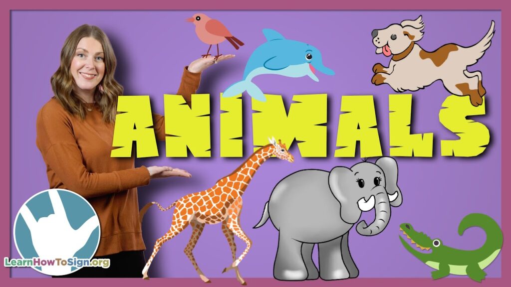 How to sign Show in ASL