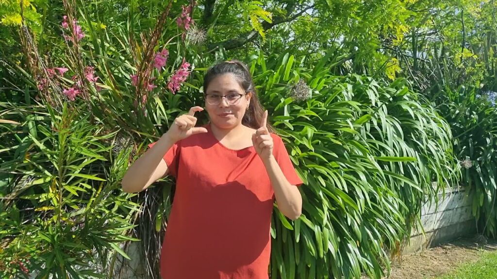Branch in New Zealand Sign Language (NZSL) - Deafened Organization
