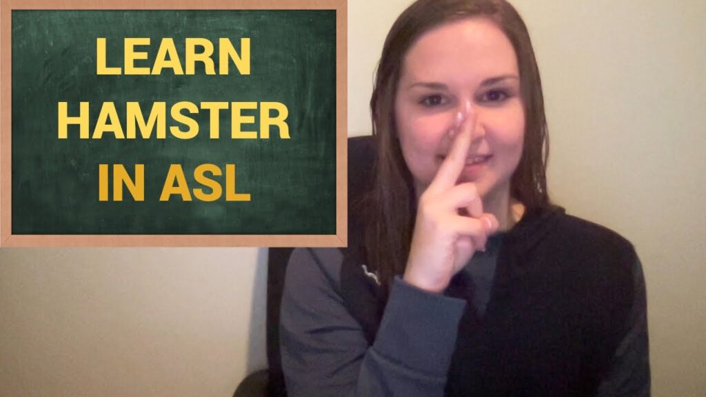 How to Sign Hamster in Auslan