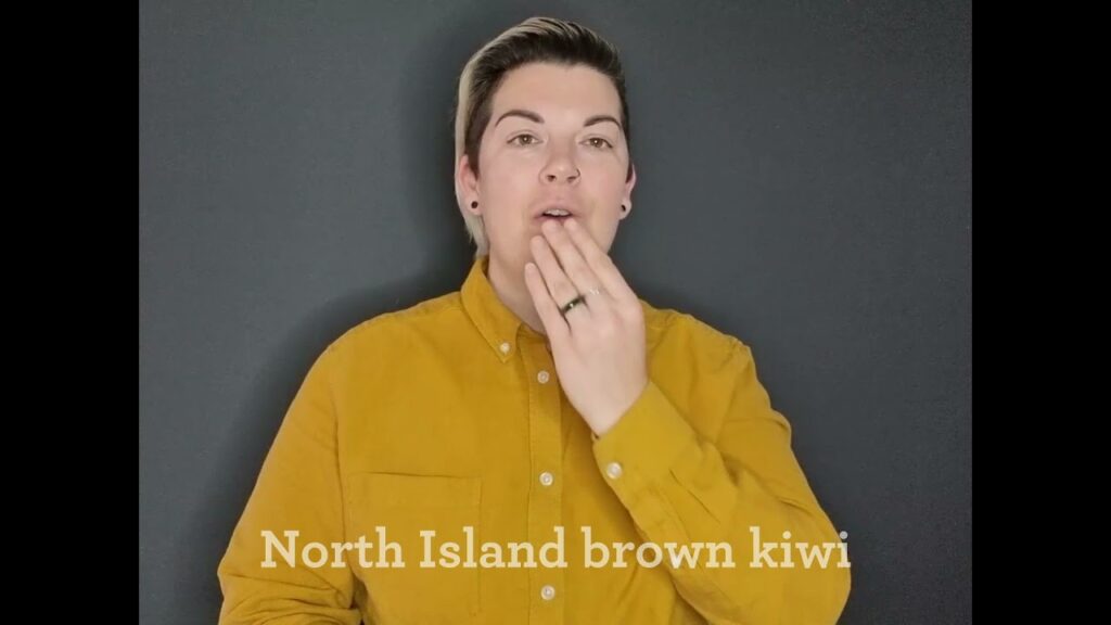 How to Sign North Island in NZSL