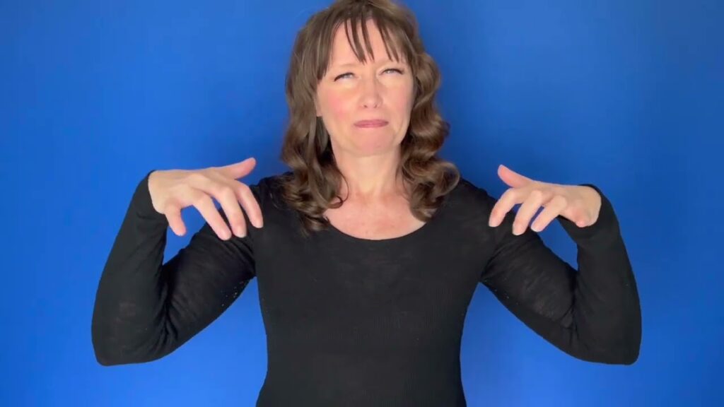 Auditorium in Sign Language (ASL) - Deafened Organization