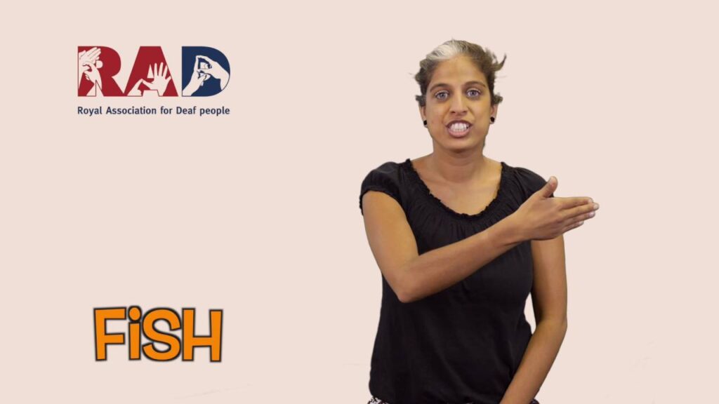 How to Sign Fish in BSL