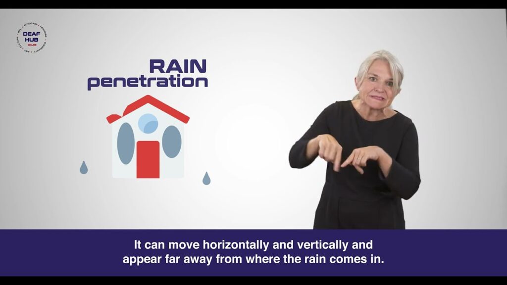 How to Sign Damp in Auslan