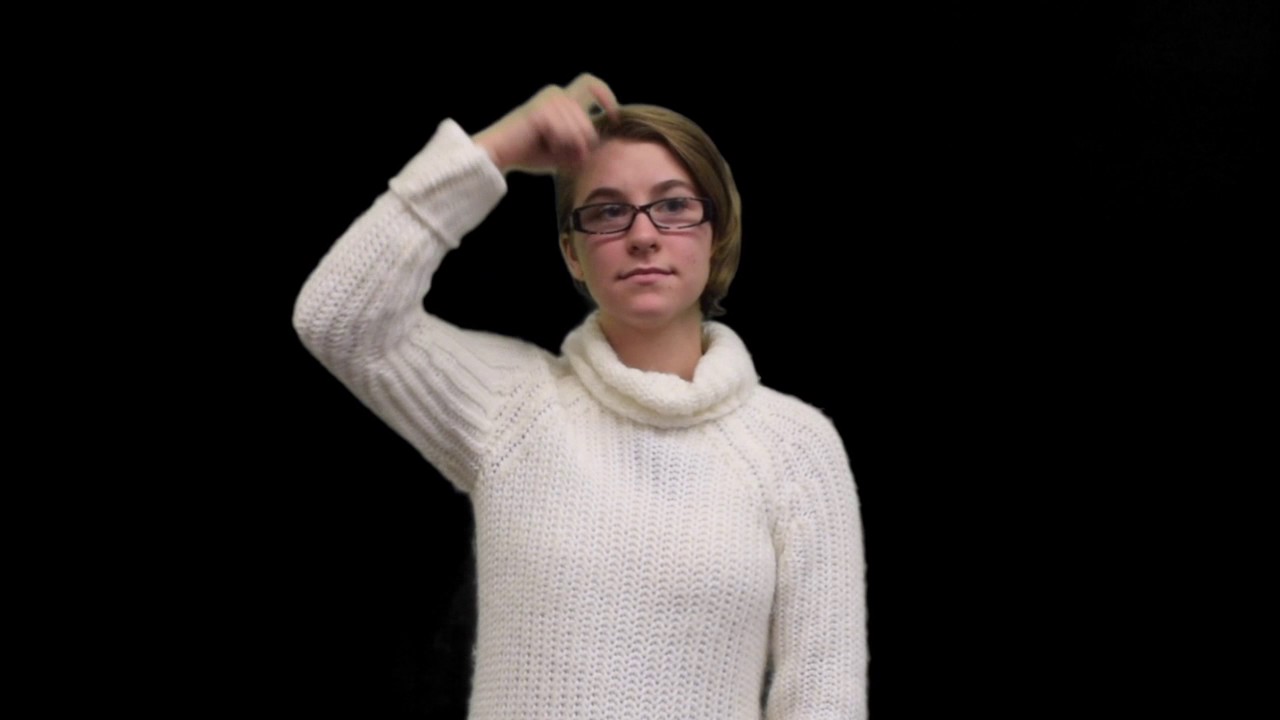 Wise in Sign Language (ASL) - Deafened Organization