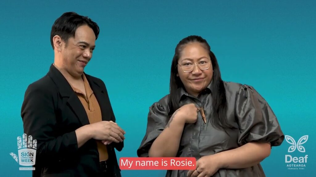 How to Sign Put Up With in NZSL