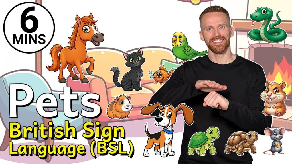 How to Sign Take Dog for a Walk in BSL