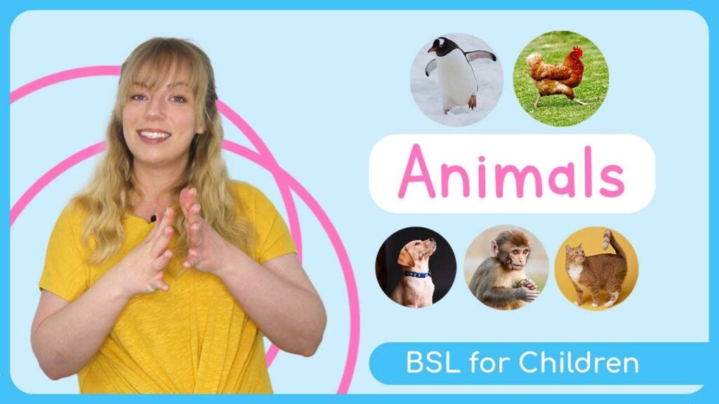 How to Sign Babe in BSL