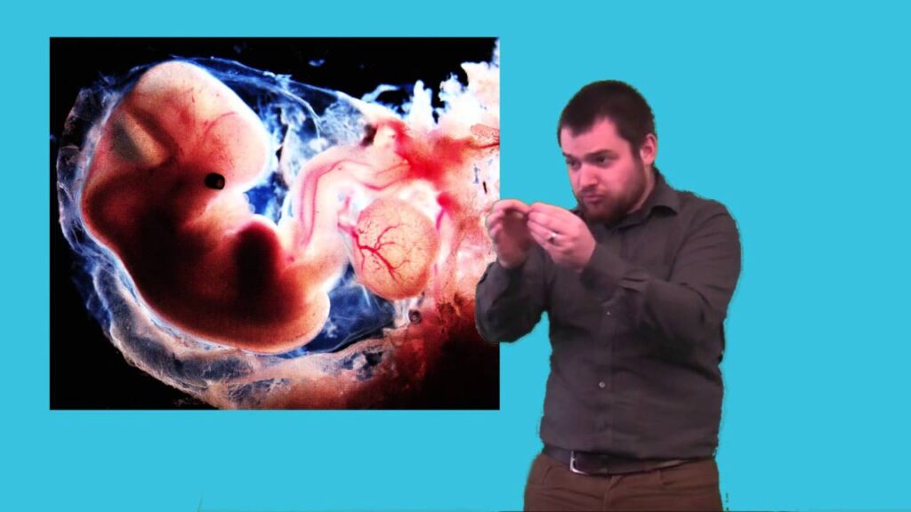 How to sign Zygote In Bsl in ASL