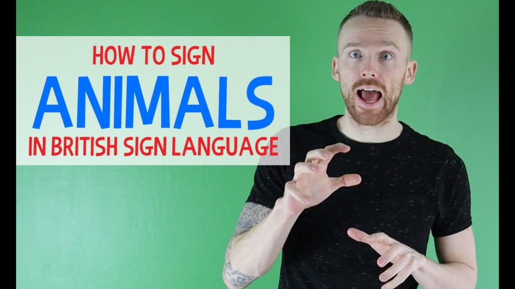How to Sign Animals in British in BSL