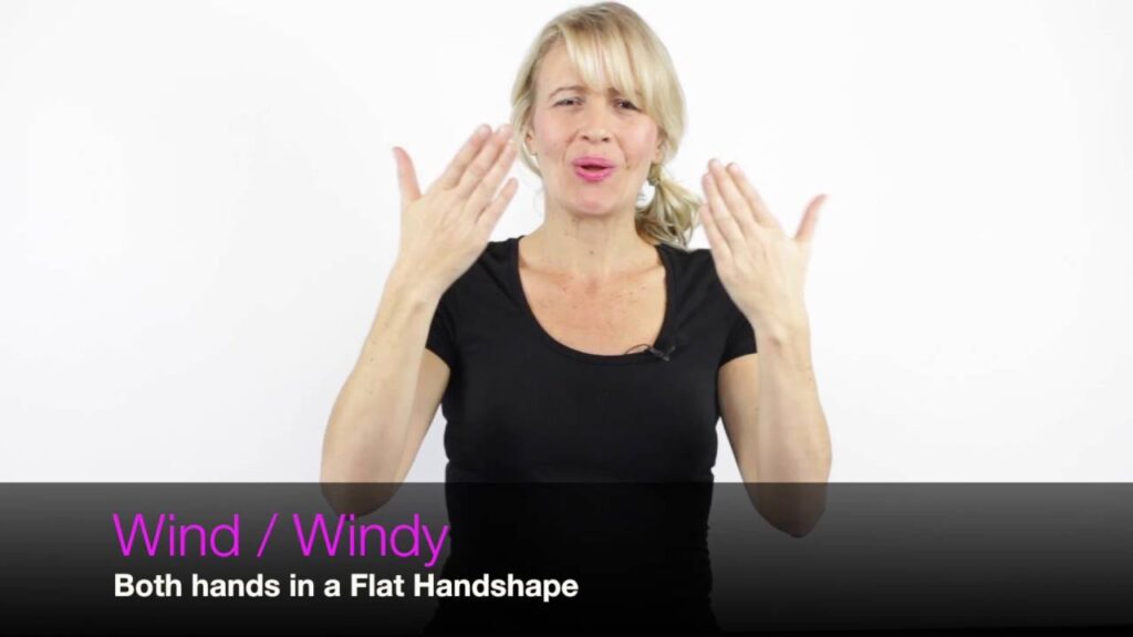 How to Sign Rain in Auslan
