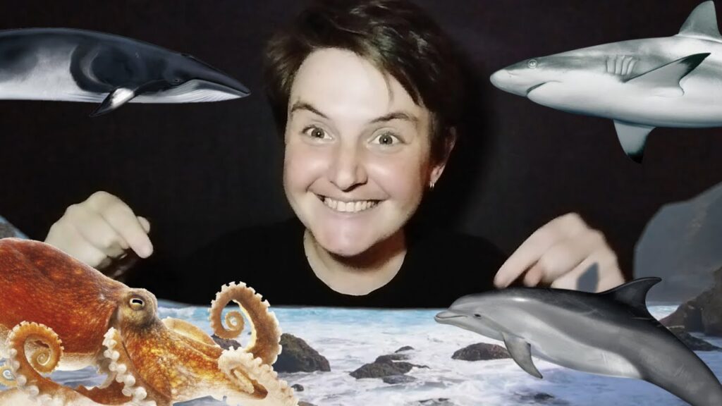 How to Sign Ocean Bottom in Auslan