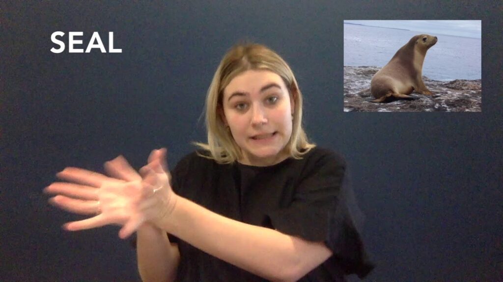 How to Sign Underwater in Auslan