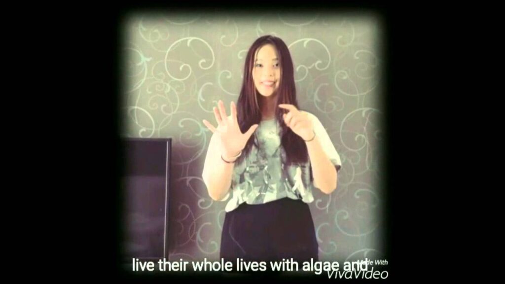 How to Sign Valid Comparison in Auslan