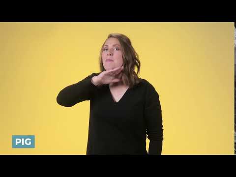 Pig in Sign Language (ASL) - Deafened Organization