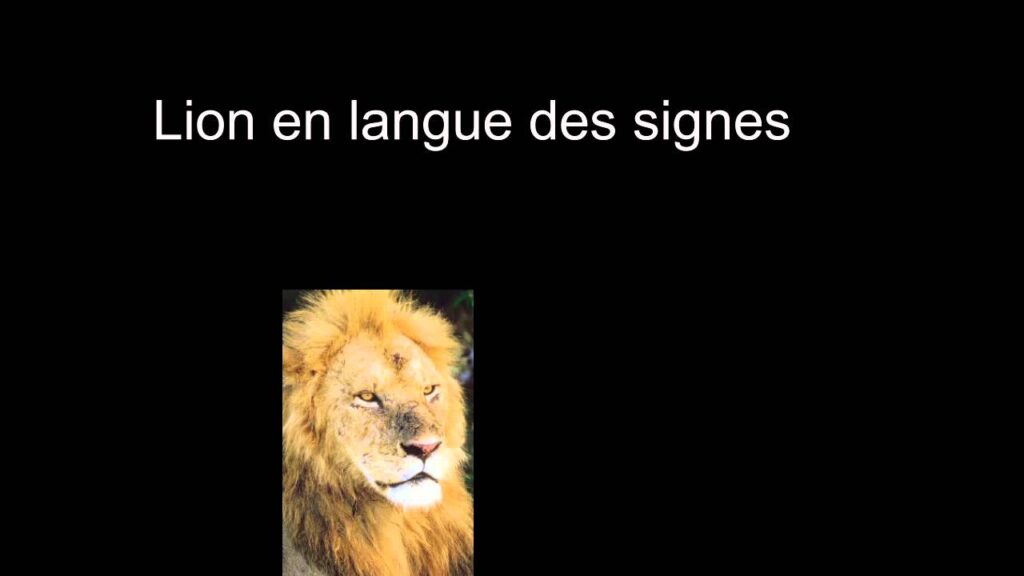 How to sign Langue Des Signes Lion in ASL