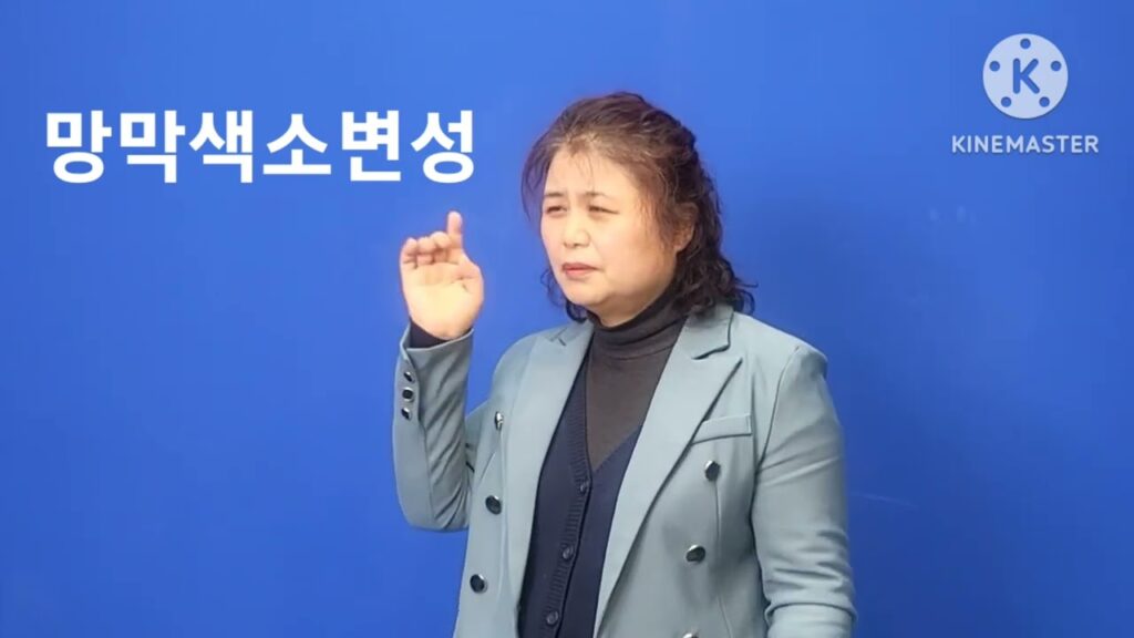 「색소로」의 한국수어 표현