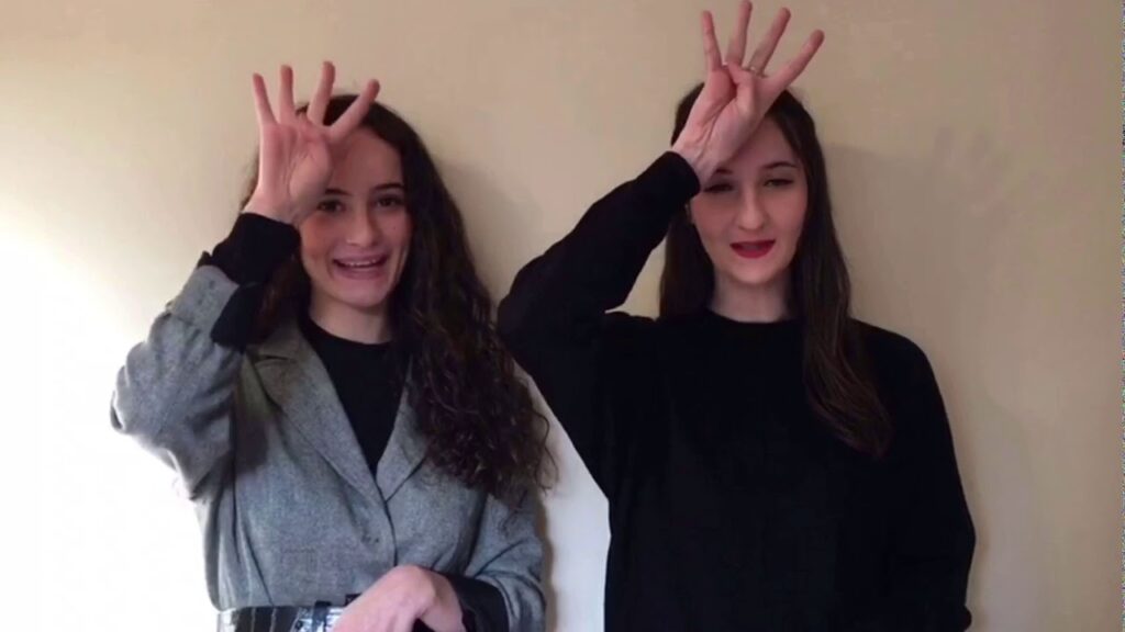 How to sign Langue Des Signes Je Te Souhaite in ASL