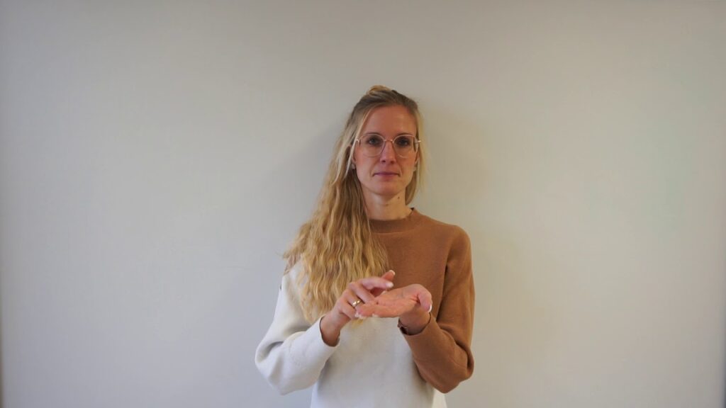 How to sign Gebärdensprache Fernsehen in ASL