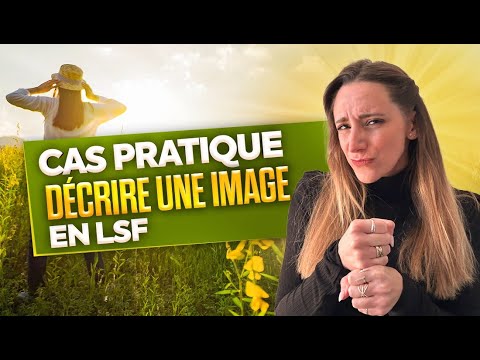 How to sign Image Langue Des Signes in ASL