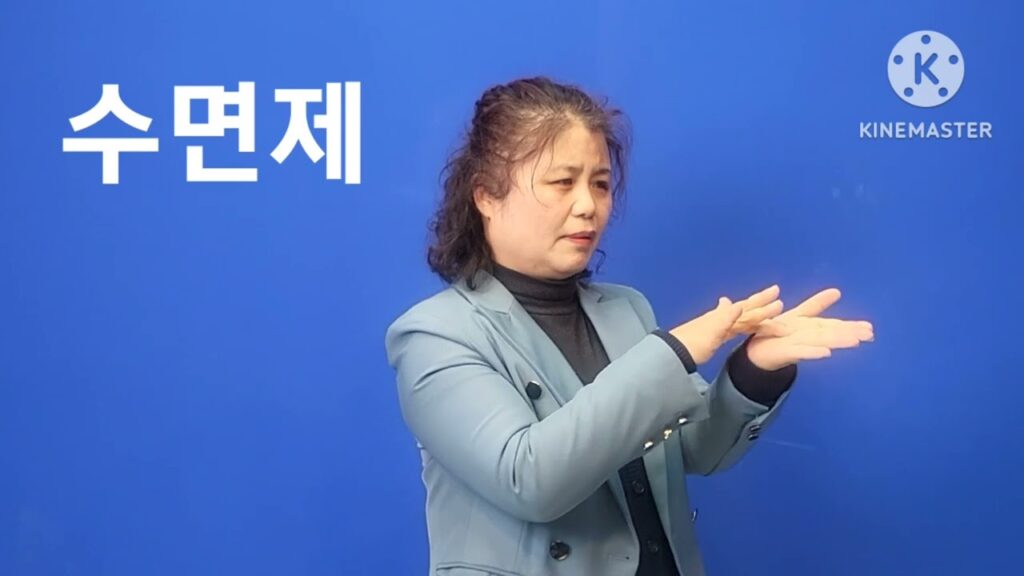 「수면제」의 한국수어 표현