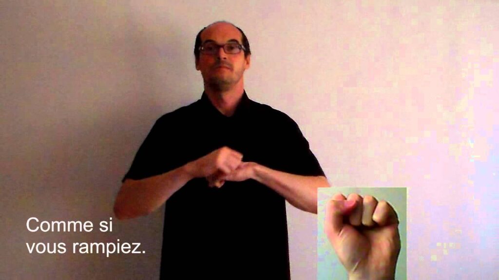 How to sign Reptile In Lsf in ASL