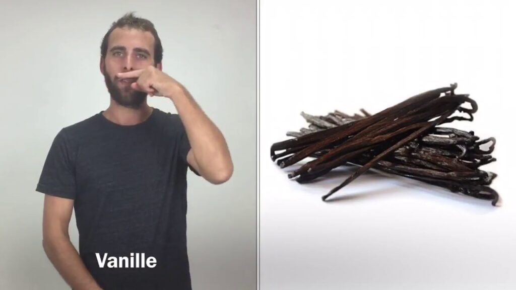How to sign Vanille In Lsf in ASL