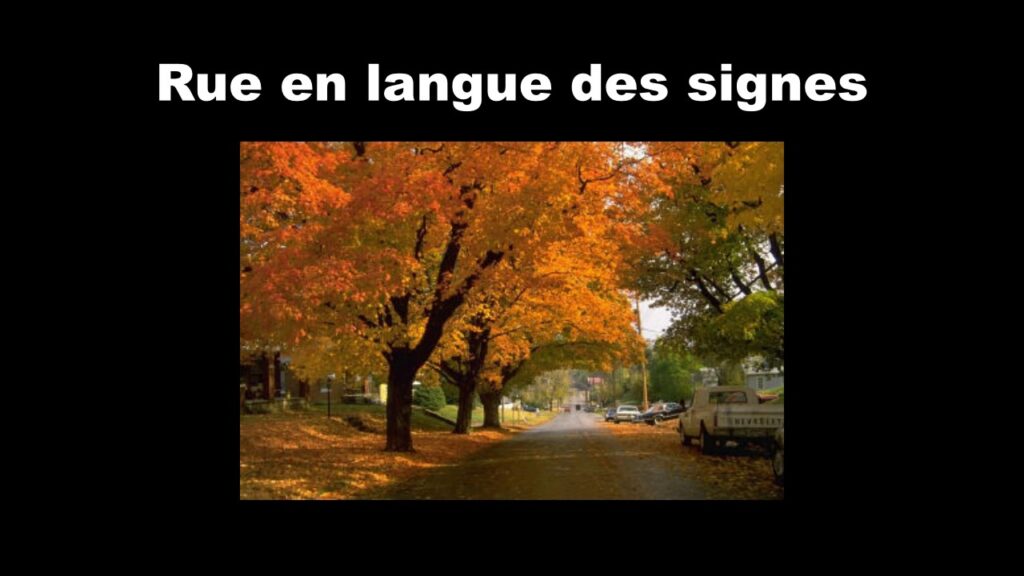 How to sign Mémo Langue Des Signes Bébé in ASL