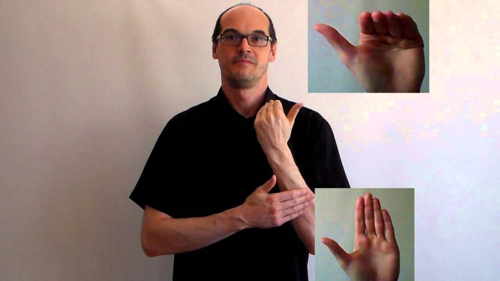 How to sign Peace And Love Langue Des Signes in ASL