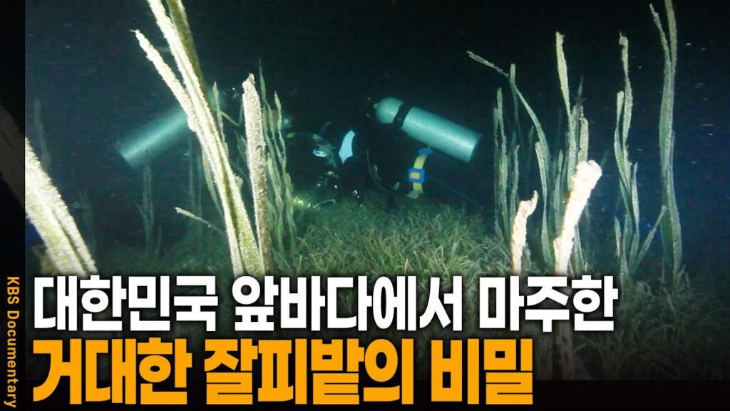 「피밭」의 한국수어 표현