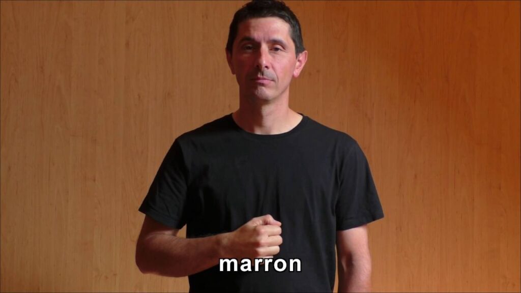 How to sign Nuance In Lsf in ASL