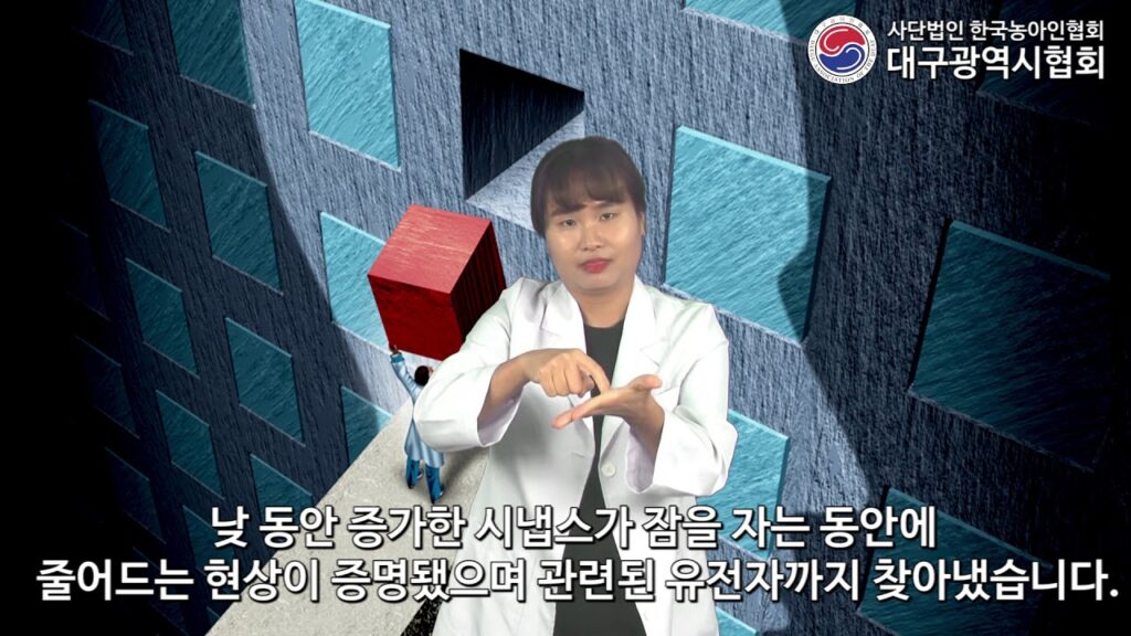 「수면」의 한국수어 표현
