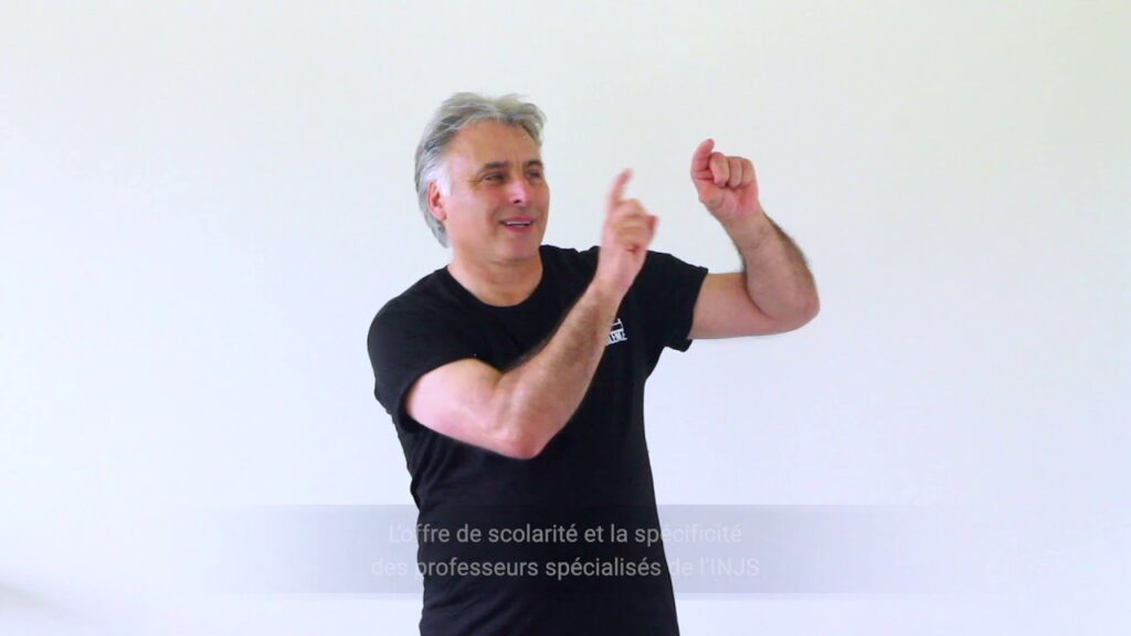 How to sign Apprendre La Langue Des Signes Metz in ASL