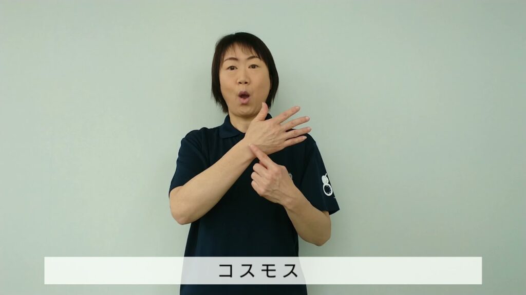 「コスモス」の日本手話の表し方