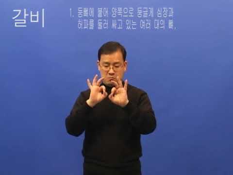 How to sign 갈비 in ASL