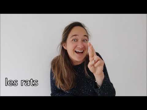 How to sign Signe Tortue In Lsf in ASL