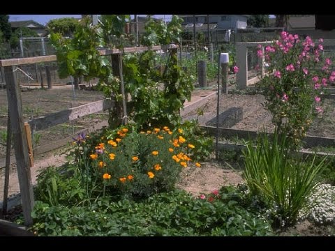 How to sign Langue Des Signes Jardin in ASL