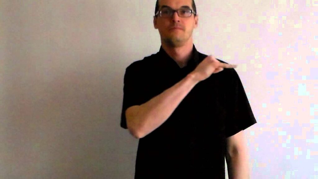 How to sign Signe Lsf Avion in ASL