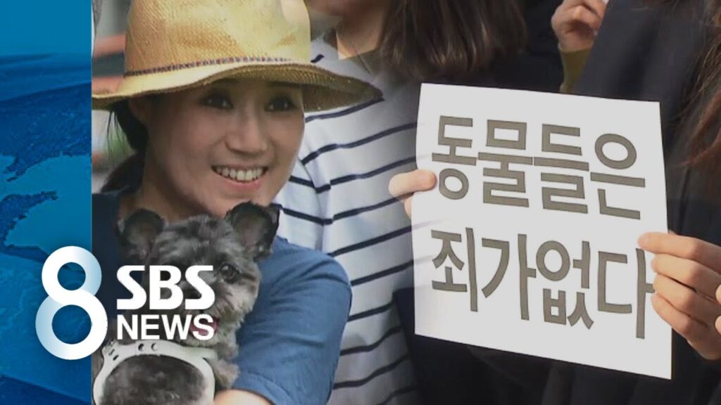 「안락사를」의 한국수어 표현