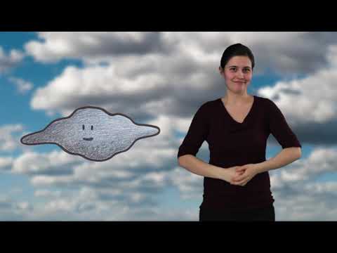 How to sign Seit Wann Gibt Es Die Gebärdensprache in ASL