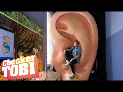 How to sign Checker Tobi Gebärdensprache in ASL