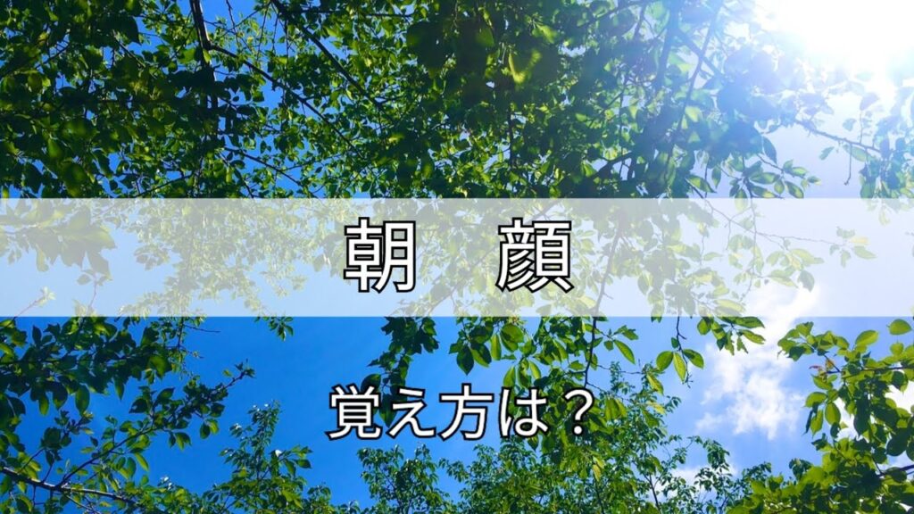 「朝顔」の日本手話の表し方