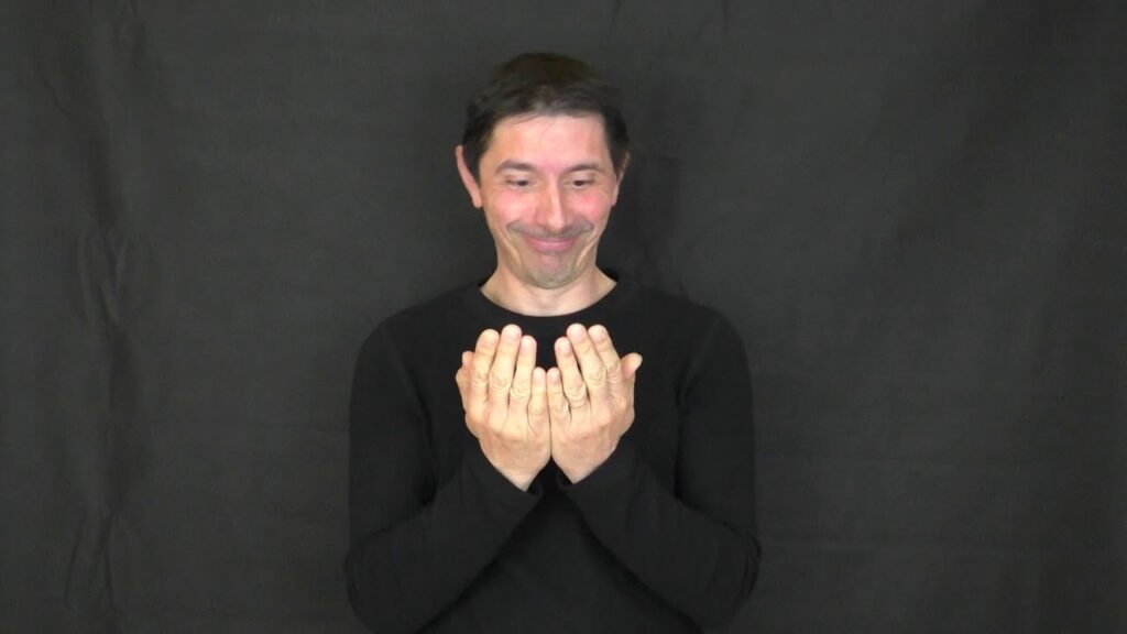How to sign Vive Les Mariés In Lsf in ASL