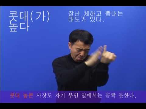 「높다」의 한국수어 표현